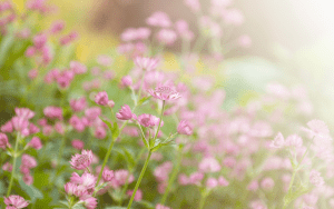 Copy of Copy of Copy of Copy of Copy of Untitled by Miami Therapist Lotus Counseling