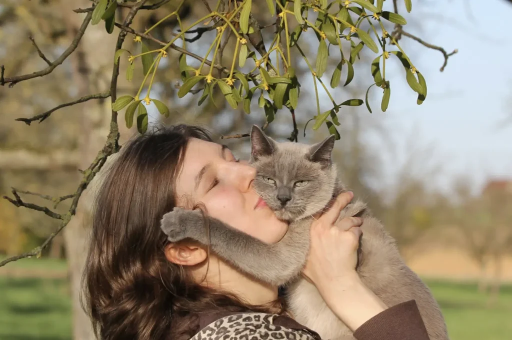 Screen Shot 2025 09 11 at 11.35.48 AM copy by Miami Therapist Lotus Counseling