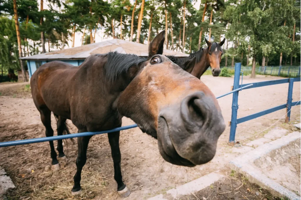 Screen Shot 2025 09 11 at 11.36.09 AM copy by Miami Therapist Lotus Counseling